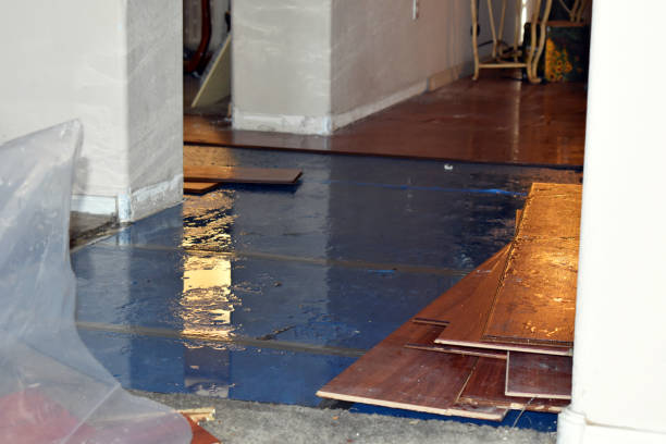 Professional Water Damage technician working in Sharpes, FL