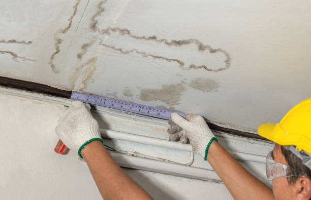 Reliable Water Damage contractor in Sharpes, FL by Water Damage Irwin
